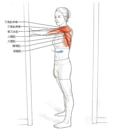 成年人是否可以通过篮球训练改善身高_1