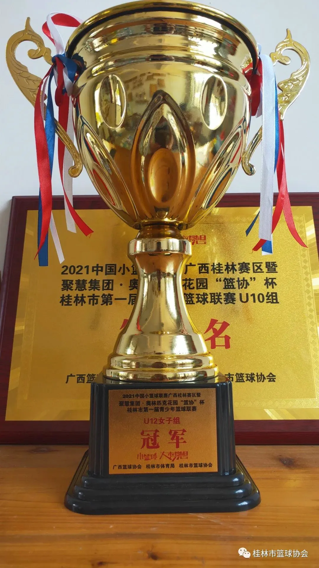 篮球训练营中试训的表现评估方法_2